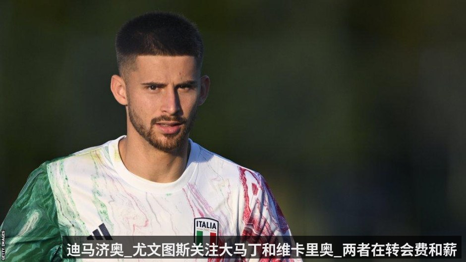 迪马济奥_尤文图斯关注大马丁和维卡里奥_两者在转会费和薪资上都有着不小的支出